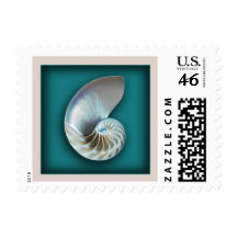 Nautilus shell on teal postage