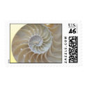 Nautilus Shell postage