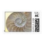 Nautilus Shell postage