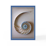 Nautilus Shell Section Cards