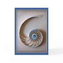 Nautilus Shell Section cards