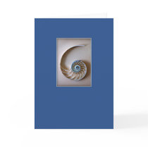 Nautilus Shell Section cards