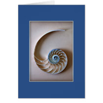 Nautilus Shell Section cards