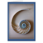 Nautilus Shell Section Cards