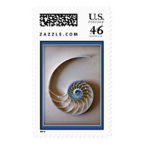 Nautilus Shell Section postage