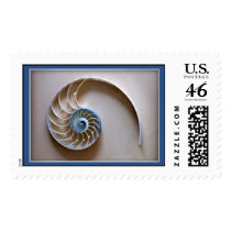 Nautilus shell section postage