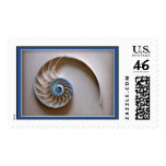 Nautilus shell section postage stamps
