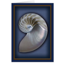 Nautilus Shell Vertical 1 cards