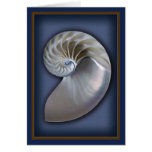 Nautilus Shell Vertical 1 cards