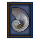 Nautilus Shell Vertical 2 cards