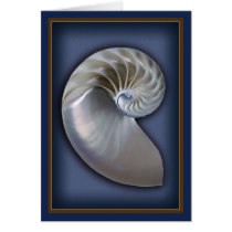 Nautilus Shell Vertical 3 cards