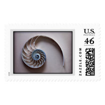 Nautilus slice postage