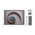 Nautilus slice postage