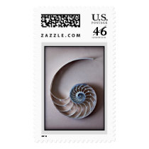 Nautilus slice postage