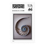 Nautilus slice postage