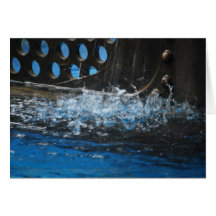 Nautilus Splashing Greeting Cards