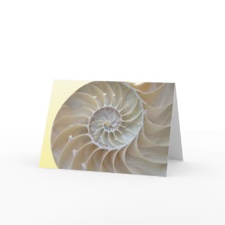 Nautilus Thank You card