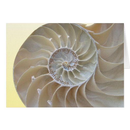 Nautilus Thank You Cards