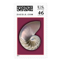 Nautllus Shell Vertical Pink postage
