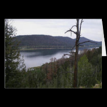 Navajo Lake, Utah -leaving our cabin Card