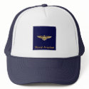 Naval Aviator Wings, Naval Aviation hats by burbankpilot Naval Aviator Wings, Naval Aviation hats