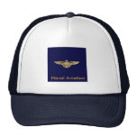 Naval Aviator Wings, Naval Aviation Hat