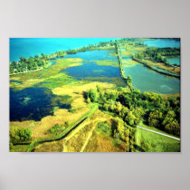 Navarre Marsh Posters