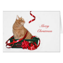 Navidad de la cinta del gato tarjetón