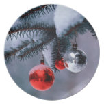 Navidad de la placa plates