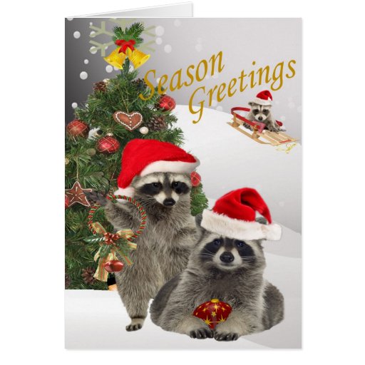Navidad del mapache una época para la diversión felicitacion 