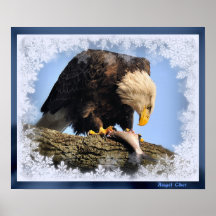Navidad Eagle por el ángel Cher, ángel Cher Poster