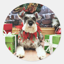 Navidad - Schnauzer - petunia Etiquetas Redondas