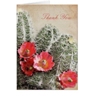 Navy and Coral Anchor Beach Wedding Thank You Greeting Cards