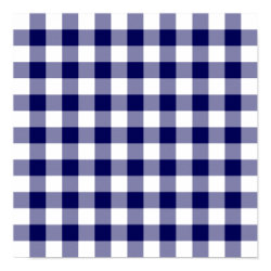 Navy and White Gingham Pattern