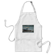 Navy Blackhawk Operations Aprons