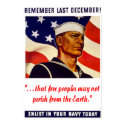 Navy Poster posters