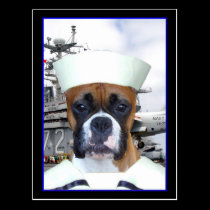 Navy Sailor Boxer Dog  Postcard postcards