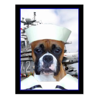 Navy Sailor Boxer Dog Postcard