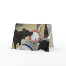 Naya Card 3