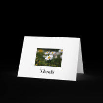 nazIMG_4051, Thanks cards
