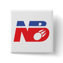 NB Presidental Logo Pin