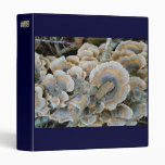 NC Nature Trail Blue Shelf Fungus Binder
