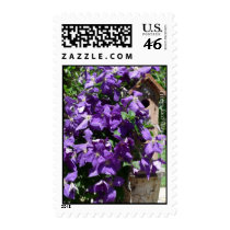 NDG Postage-Clematis & Birdhouse