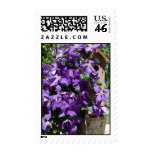 NDG Postage-Clematis &amp; Birdhouse