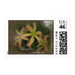 NDG Postage-Daylilies Living Art SF