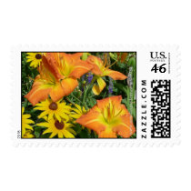 NDG Postage-Daylilies 'Orange Dream'