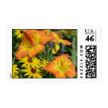 NDG Postage-Daylilies 'Orange Dream'