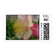 NDG Postage-Red Columbine Closeup