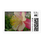 NDG Postage-Red Columbine Closeup