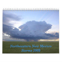 NE New Mexico Storms 2009 Wall Calendars